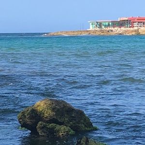 Meet your Posher, Daarina